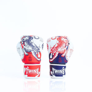 Fairtex vs Twins Special Boxing Gloves: Which Is Better for Your Training?