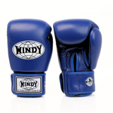 Rear view of blue Windy BGVH Muay Thai boxing gloves showing leather panels, wrist cuffs and Windy branding on a white background