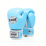 Rear view of light blue Windy BGVH Muay Thai boxing gloves showing leather panels, wrist cuffs and Windy branding on a white background