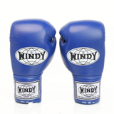 Windy BGL blue lace-up boxing gloves with extended side padding, secure wrist support and Windy branding, pair on a white background